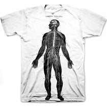Image of VINTAGE ANATOMY tee shirt