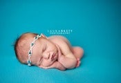 Image of JASMINE
