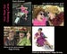 Image of Hot Flash Card Set 1