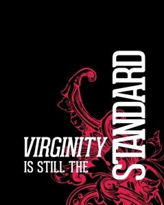 Image of Virginity is Still the Standard (Audio Teaching)