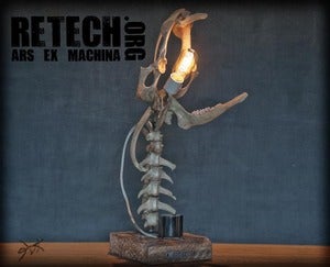 Image of bone 181012