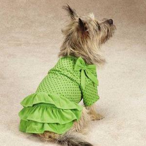Image of Zack & Zoey Polka Dot Ruffle Dog Dress - Parrot Green