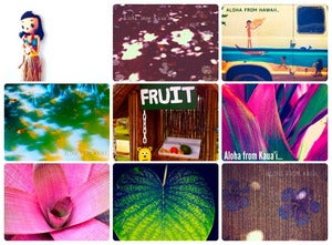 Image of Leilei Aloha's Paradise Post