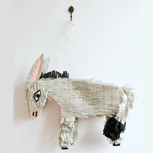 Image of Pinata PDF