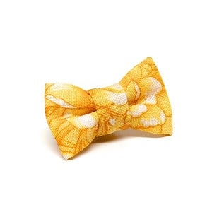 Image of Provocateur 0-026