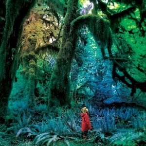 Image of JACCO GARDNER | CABINET OF CURIOSITIES LP 