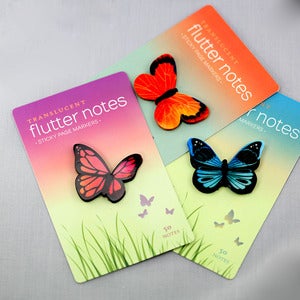 Image of Flutter Notes