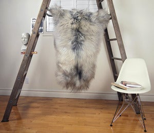 Image of Large Gray Sheepskin GR-275