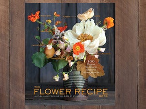 Image of OUR BOOK!