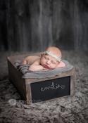 Image of Chalkboard Crates - Grey Whitewash - Vintage Style - NEW
