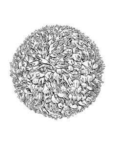 Image of HANDSUN