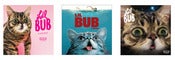 Image of Limited Edition Set of "Lil BUB and Friendz" Fridge Magnets