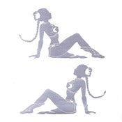Image of Princess Leia Mudflap Decals