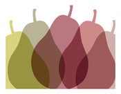 Image of AUTUMN PEARS