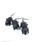 Image of Rattie Hair Slides