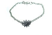 Image of Dainty Daisy 