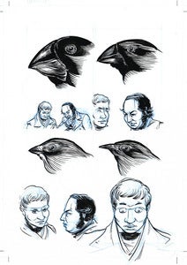Image of Darwin: A Graphic Biography, pg57