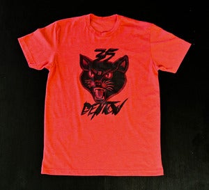 Image of 35 Denton 2013 Black Cat