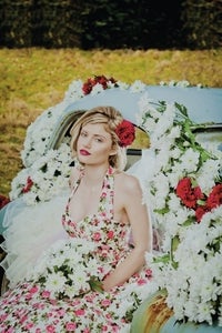 Image of Regents Park Roses