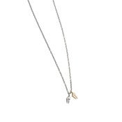 Image of 14k gold & silver teeth on adjustable 20-24" silver cable chain (p62sil14k2024)