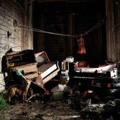 Image of Wintersleep - New Inheritors