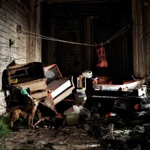 Image of Wintersleep - New Inheritors
