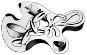 Image of Bodies within bodies
