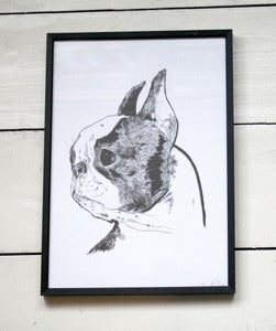Image of Boston Terrier A4 Print