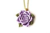 Image of Rosy Rose