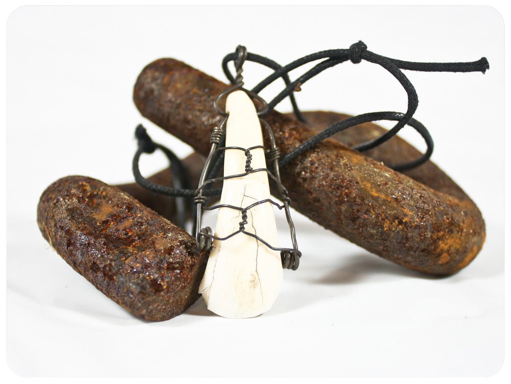 Image of Buffalo Tooth Necklace