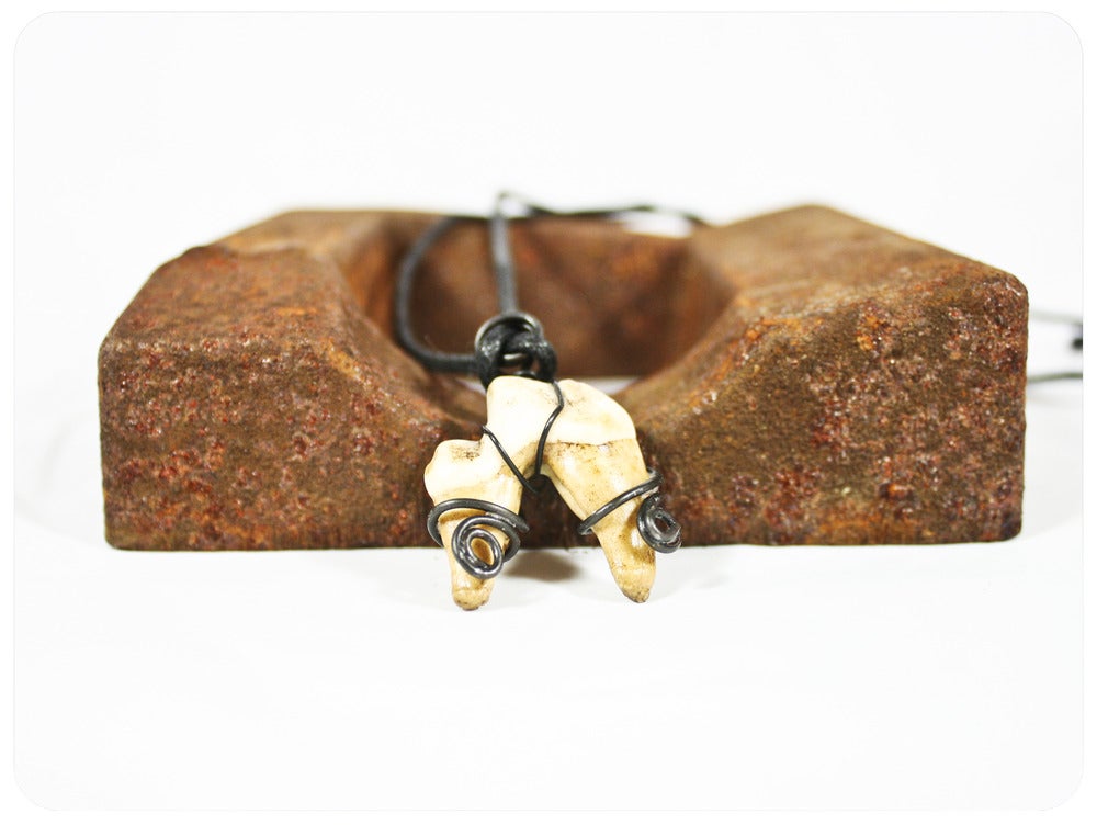 Image of Deer Tooth Necklace