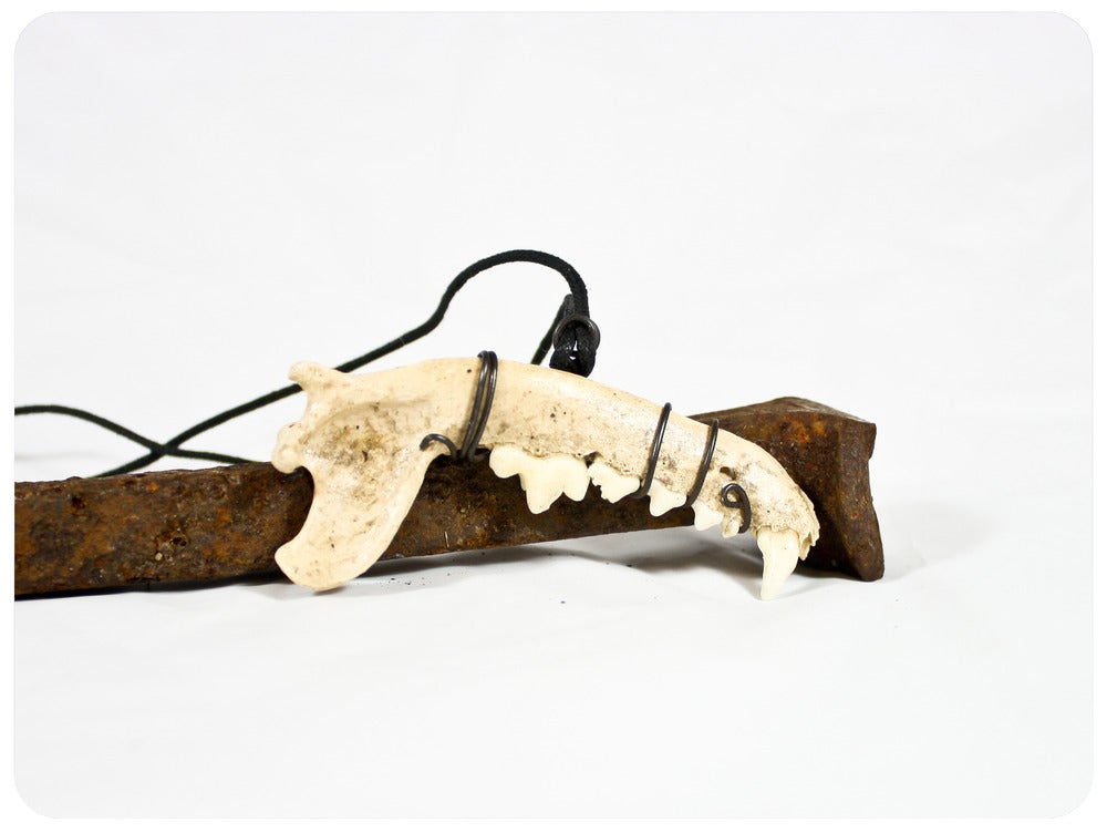 Image of Raccon Jawbone Necklace