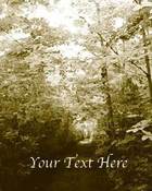 Image of Sacred Grove LDS Art 002