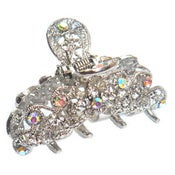 Image of Glitz Claw