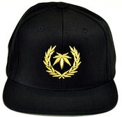 Image of Gold Standard snapback