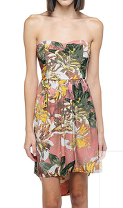 Image of The Stillman Dress by BB Dakota