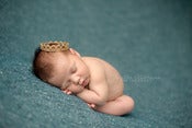 Image of Drew Knit Backdrop
