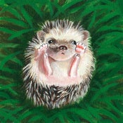 Image of HEDGEHOG