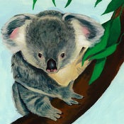 Image of KOALA CUB