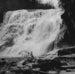 Image of Celer - Close Proximity and the Unhindered Care-all