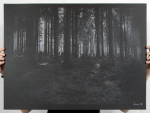 Image of Wildwood of the Undead