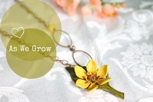Image of As We Grow