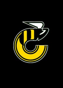 Image of Cincinnati Stingers hockey shirt