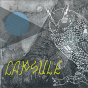 Image of Capsule - No Ghost 12"