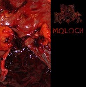 Image of Moloch / Meth Drinker split LP
