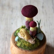 Image of SOLD  bi-color boletes and the snail - wool mushroom terrarium