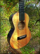 Image of Sailor Spruce/Smokey Maple Custom Tenor