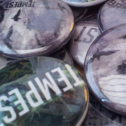 Image of Tempest 1" Button / sticker combo pack
