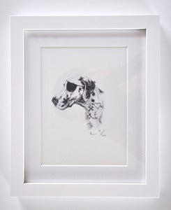 Image of FRAMED PIRATE DOG PRINT A5.