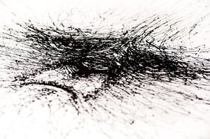 Image of Josh Marlar's The Stray